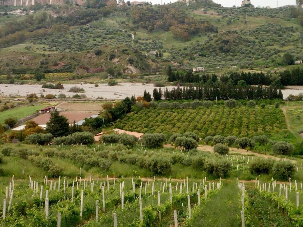 Feudo Gagliardi Farm stay
