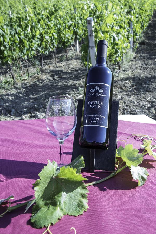 Farm stay Feudo Gagliardi *