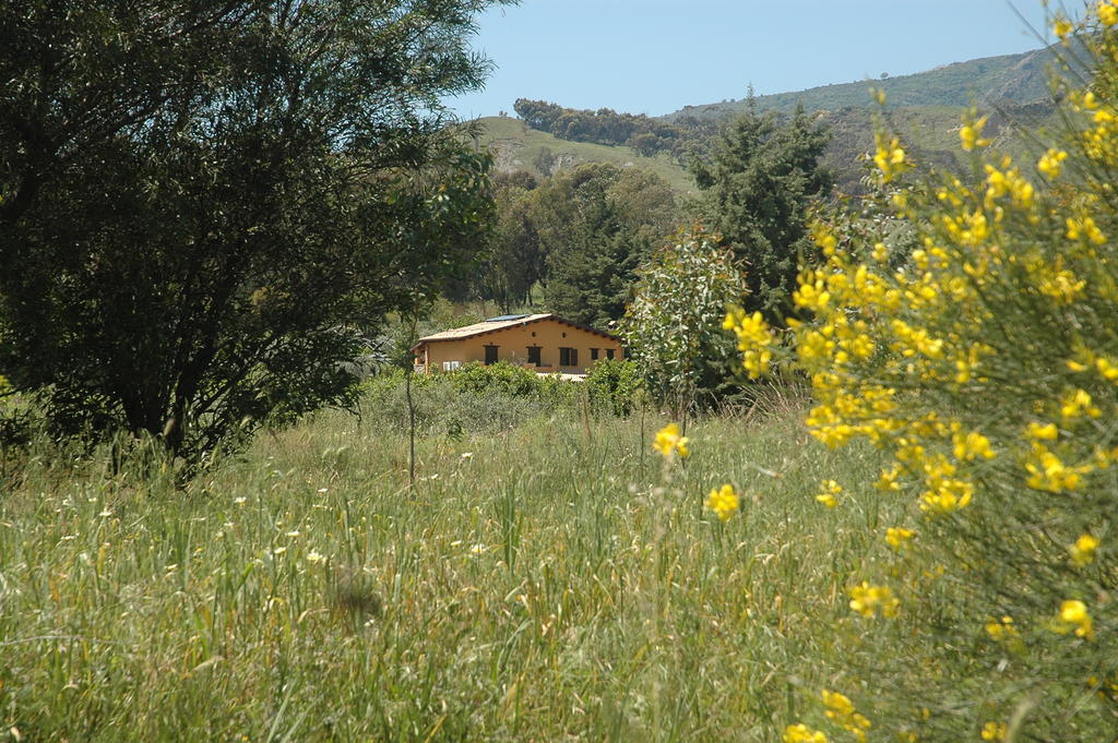 Vakantieboerderij Feudo Gagliardi Caulonia